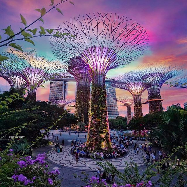 Singapour